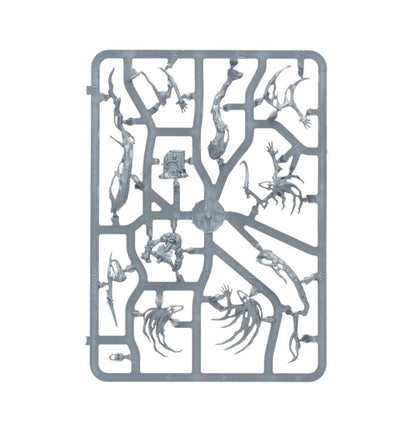 Hantenuit : Spirit Hosts 93-08